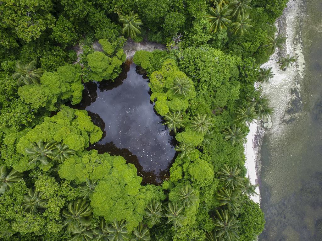 Reveries Maldives 간 외부 사진